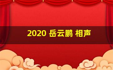 2020 岳云鹏 相声